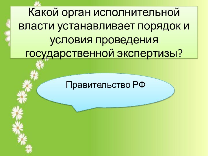 Какой орган исполнительной власти устанавливает порядок и условия проведения государственной экспертизы?Правительство РФ