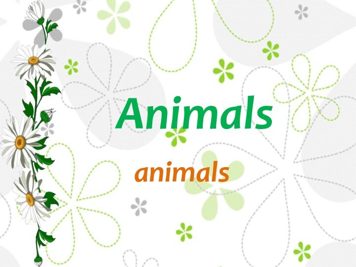 Animals animals