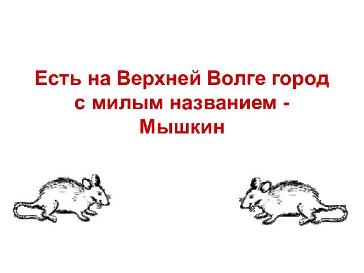 Есть на Верхней Волге город с милым названием - Мышкин