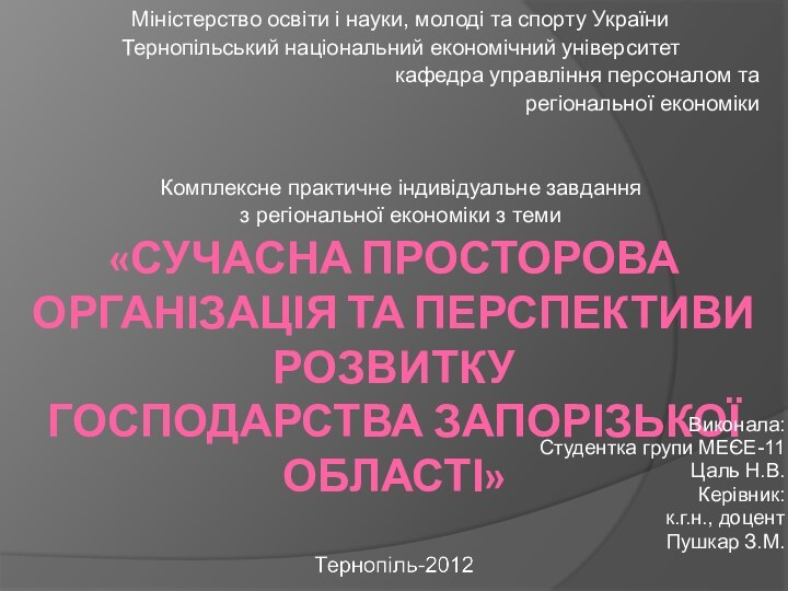 «Сучасна просторова організація та перспективи розвитку  господарства Запорізької області»Міністерство освіти і