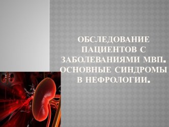 Обследование пациентов с заболеваниями МВП.Основные синдромы в нефрологии.