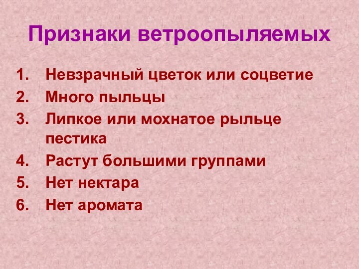 Признаки ветроопыляемыхНевзрачный цветок или соцветиеМного пыльцыЛипкое или мохнатое рыльце пестикаРастут большими группамиНет нектараНет аромата