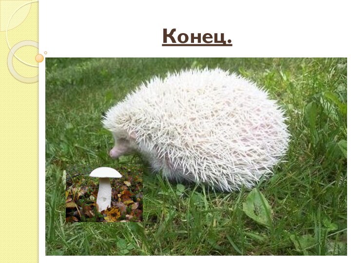 Конец.