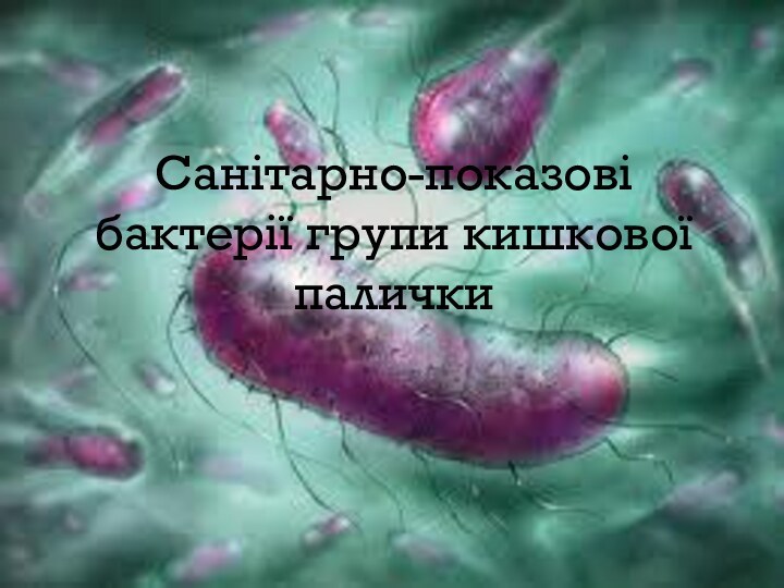 Санітарно-показові бактерії групи кишкової палички