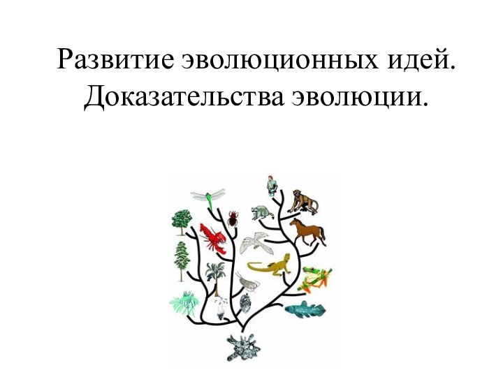 Развитие эволюционных идей. Доказательства эволюции.