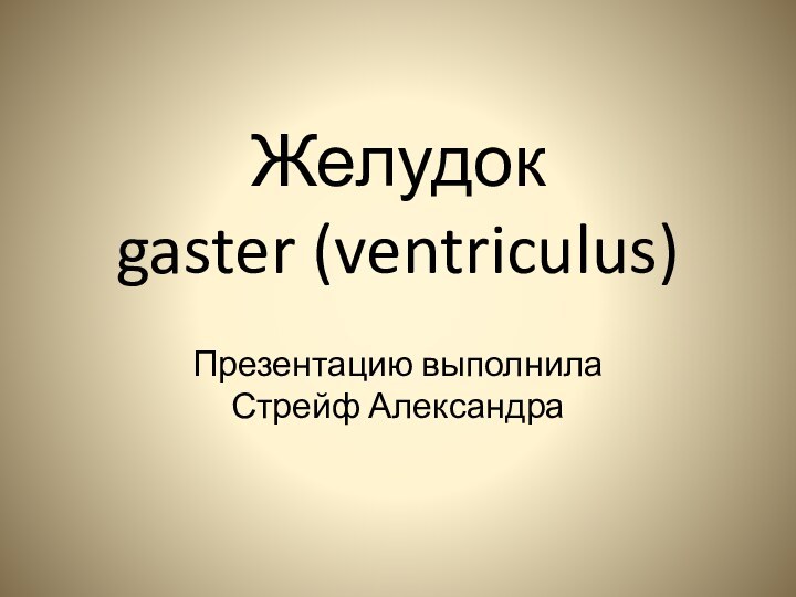 Желудок  gaster (ventriculus) Презентацию выполнила Стрейф Александра