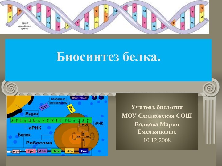 Биосинтез белка.  Учитель биологииМОУ Сладковская СОШВолкова Мария Емельяновна.10.12.2008