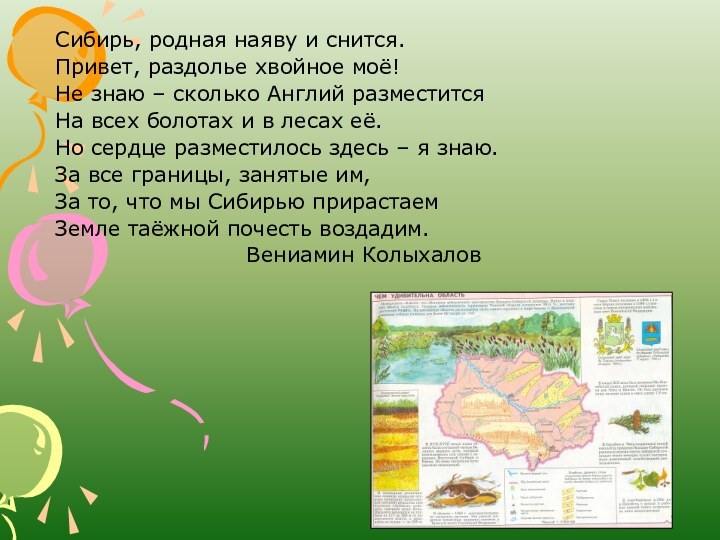 Сибирь, родная наяву и снится.Привет, раздолье хвойное моё!Не знаю – сколько Англий