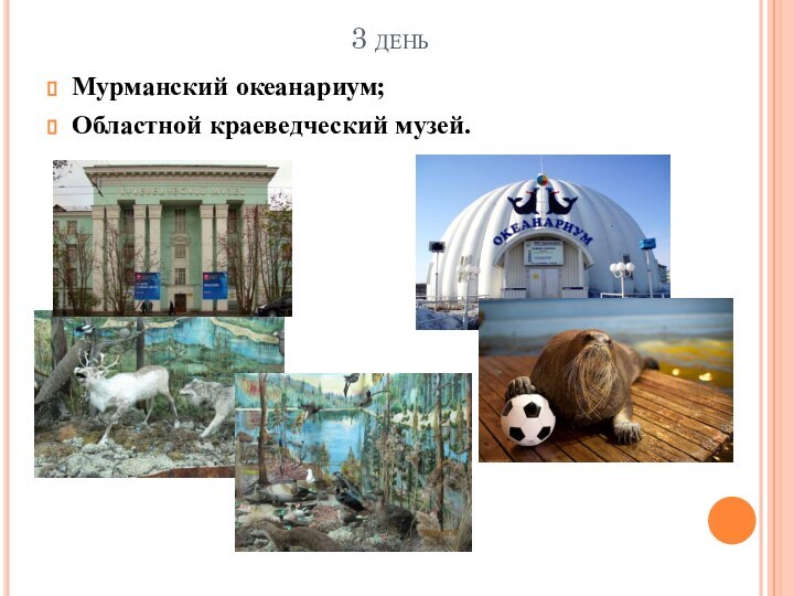3 день Мурманский океанариум;Областной краеведческий музей.