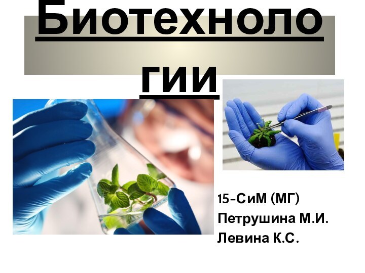 Биотехнологии15-СиМ (МГ)Петрушина М.И.Левина К.С.