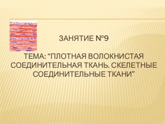 Плотная волокнистая соединительная ткань. Скелетные соединительные ткани