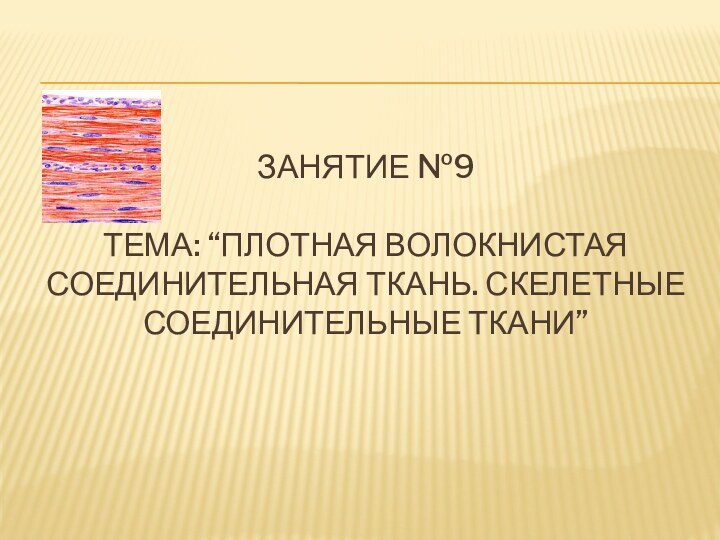 Занятие №9