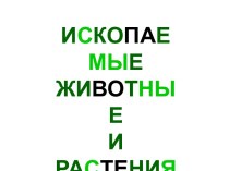 Ископаемые животные и растения