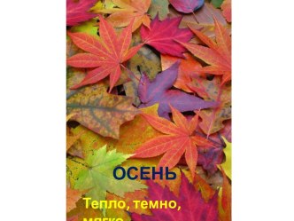 Оттенки осенних тонов