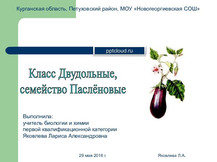 Яковлева Л.А.Курганская область, Петуховский район, МОУ «Новогеоргиевская СОШ»Класс Двудольные,семейство ПаслёновыеВыполнила:учитель биологии и