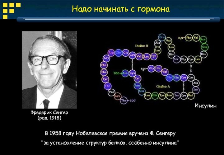 Надо начинать с гормонаВ 1958 году Нобелевская премия вручена Ф. Сенгеру 