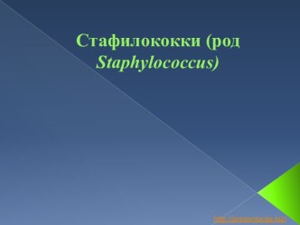 Стафилококки