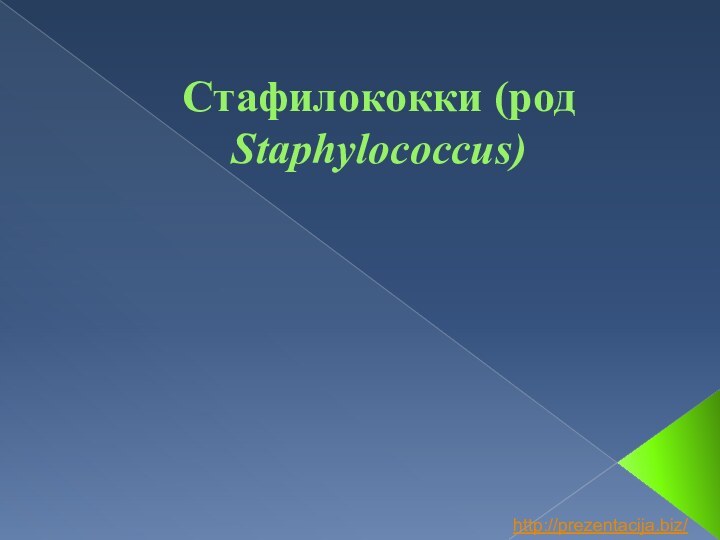 Стафилококки (род Staphylococcus)http://prezentacija.biz/