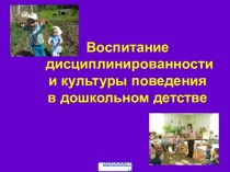 Воспитание дисциплины и культуры поведения