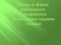 Флора и фауна Кавказского биосферного заповедника