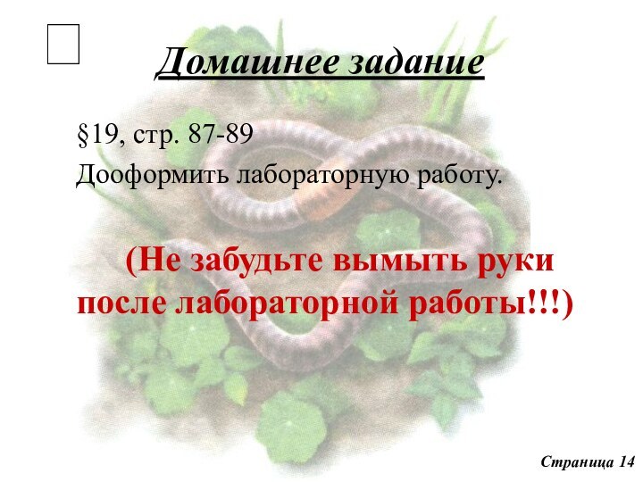 Домашнее задание§19, стр. 87-89Дооформить лабораторную работу.(Не забудьте вымыть руки после лабораторной работы!!!)Страница 14