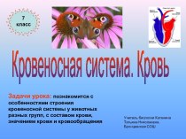 Кровеносная система. Кровь