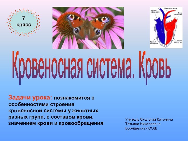 Кровеносная система. КровьЗадачи урока: познакомится с особенностями строения кровеносной системы у животных