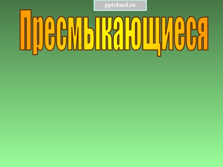 Пресмыкающиеся Общая характеристикаДревние пресмыкающиесяРазнообразие современныхрептилийНаступление человека