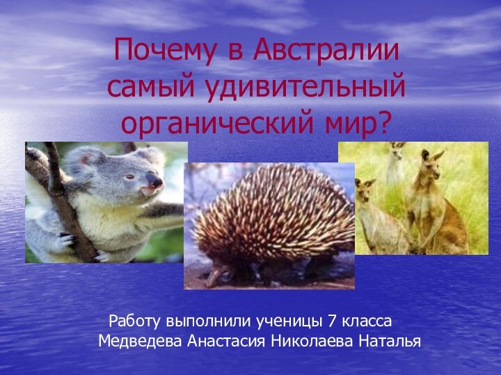 Почему в Австралии  самый удивительный органический мир? Работу выполнили ученицы 7