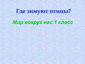 Где зимуют птицы?