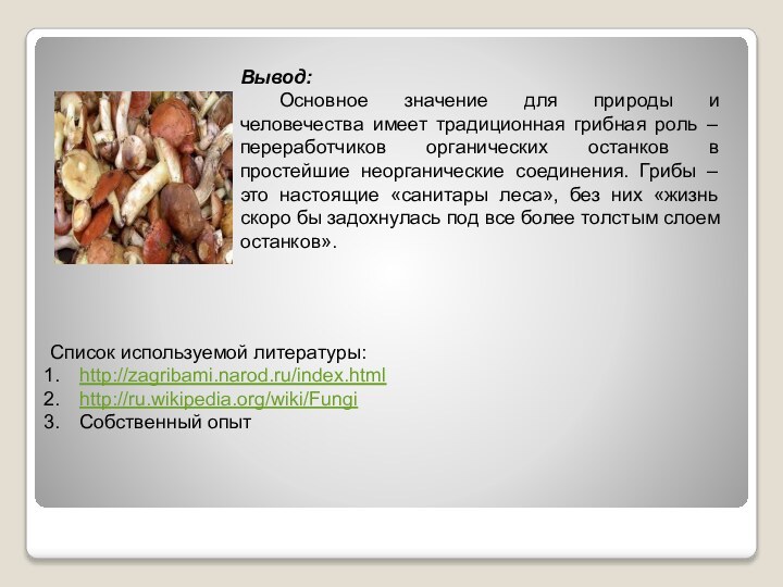 Вывод:	Основное значение для природы и человечества имеет традиционная грибная роль – переработчиков