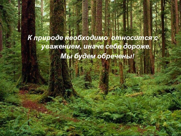 К природе необходимо относится с уважением, иначе себе дороже.    Мы будем обречены!