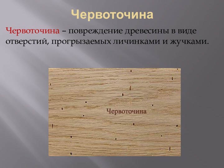 ЧервоточинаЧервоточина – повреждение древесины в виде отверстий, прогрызаемых личинками и жучками.