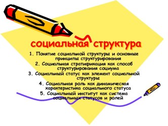 Социальная структура