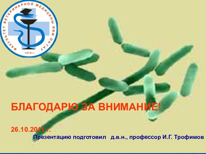 БЛАГОДАРЮ ЗА ВНИМАНИЕ!  26.10.2011 г.Презентацию подготовил  д.в.н., профессор И.Г. Трофимов