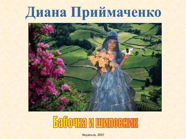 Диана ПриймаченкоБабочка и шиповникНорильск, 2007