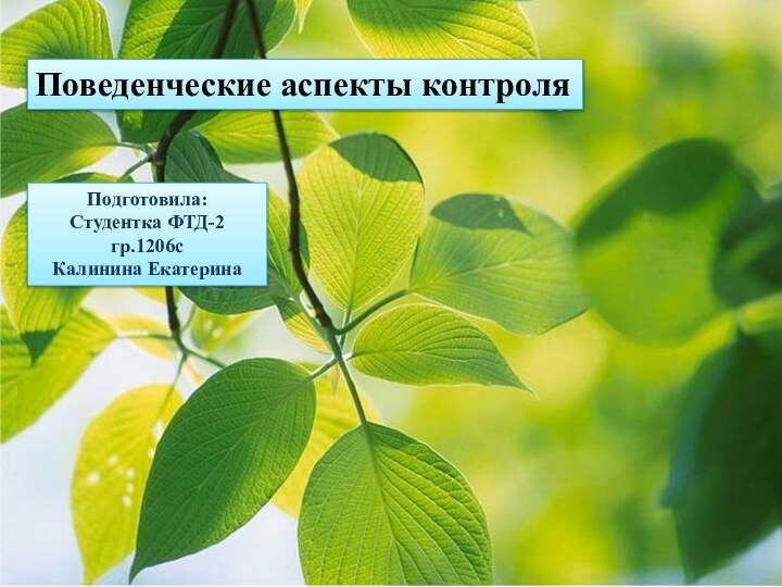 Поведенческие аспекты контроляПодготовила: Студентка ФТД-2 гр.1206с Калинина Екатерина