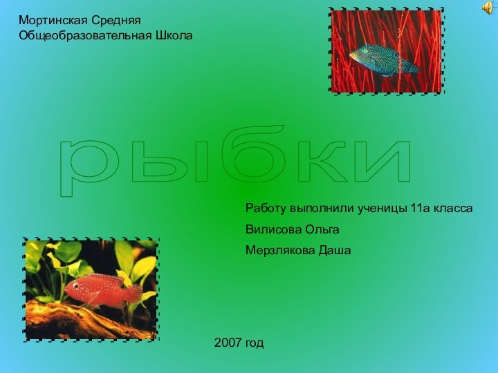 рыбкиМортинская Средняя Общеобразовательная Школа2007 годРаботу выполнили ученицы 11а классаВилисова ОльгаМерзлякова Даша