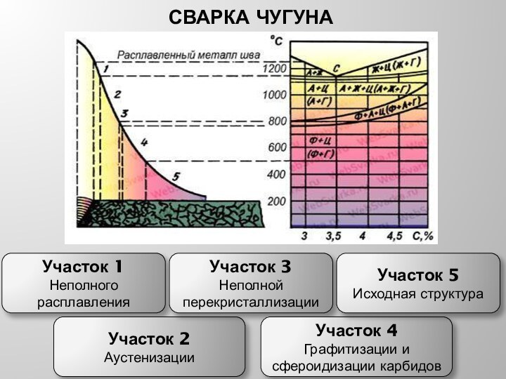 СВАРКА ЧУГУНАУчасток 1Неполного расплавленияУчасток 2АустенизацииУчасток 3Неполной перекристаллизацииУчасток 4Графитизации и сфероидизации карбидовУчасток 5Исходная структура