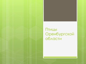 Птицы Оренбургской области