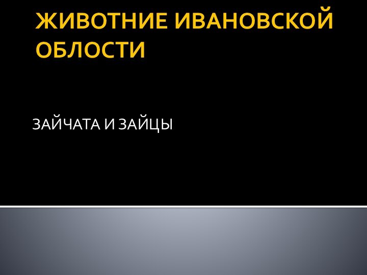 ЖИВОТНИЕ ИВАНОВСКОЙ ОБЛОСТИЗАЙЧАТА И ЗАЙЦЫ