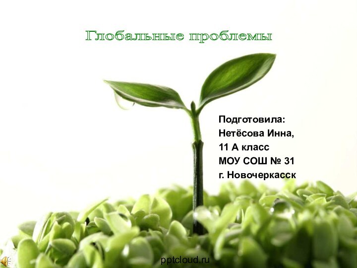 Подготовила: Нетёсова Инна,11 А классМОУ СОШ № 31г. НовочеркасскГлобальные проблемы