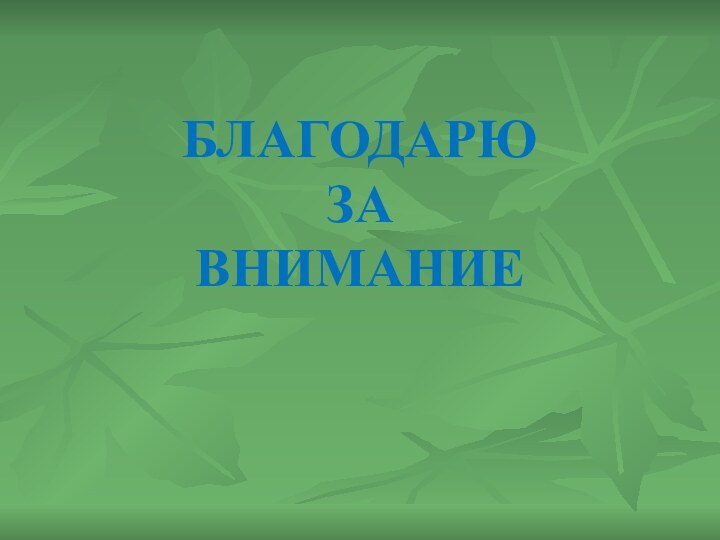 Благодарю За Внимание