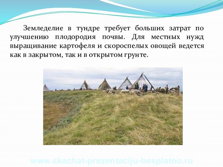 Земледелие в тундре требует больших затрат по улучшению плодородия почвы. Для местных