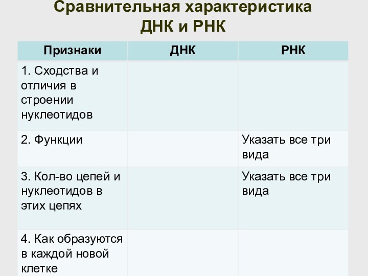 Сравнительная характеристика  ДНК и РНК