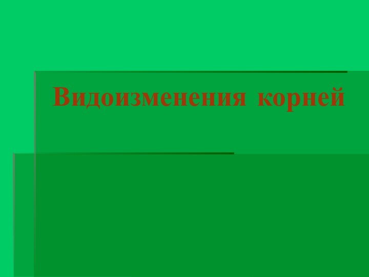 Видоизменения корней