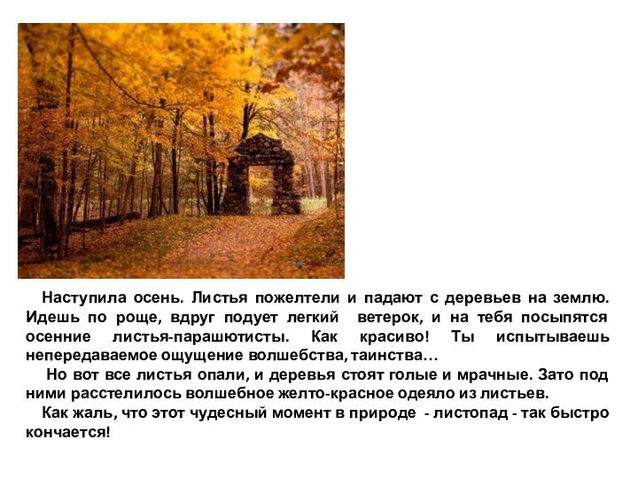 Наступила осень. Листья пожелтели и падают с деревьев на землю. Идешь по