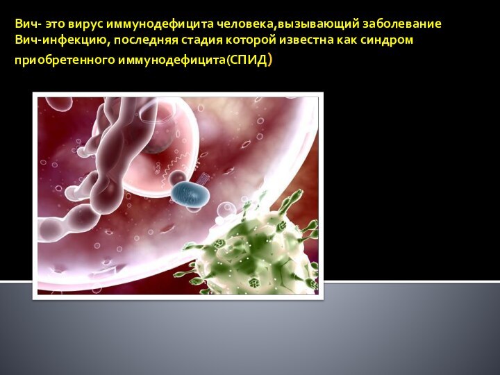 Вич- это вирус иммунодефицита человека,вызывающий заболевание Вич-инфекцию, последняя стадия которой известна как синдром приобретенного иммунодефицита(СПИД)