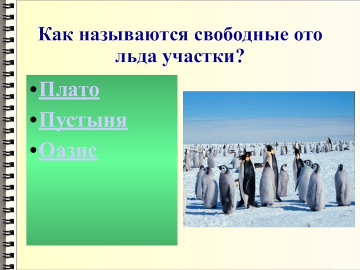 Как называются свободные ото льда участки?ПлатоПустыняОазис