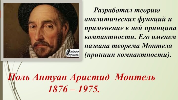 Разработал теорию аналитических функций и применение к ней принципа